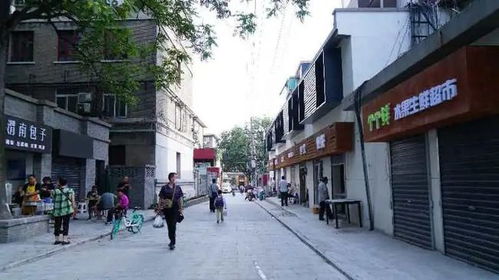 喜迎國慶，背街小巷煥新顏 建筑物清潔服務為生活增添幸福感